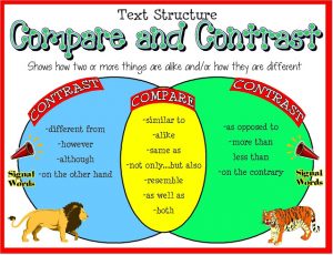 how to write compare and contrast essay sample